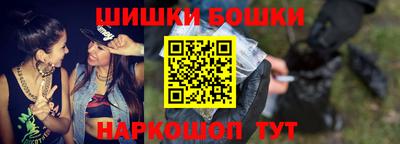 индика Ставрополь