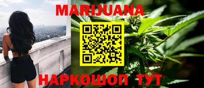 индика Ставрополь