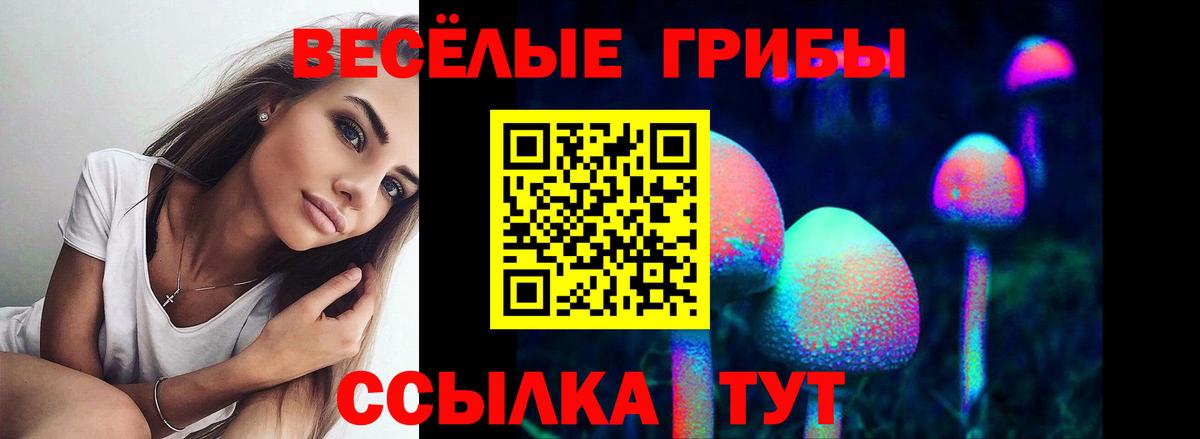 Галлюциногенные грибы Magic Shrooms Менделеевск